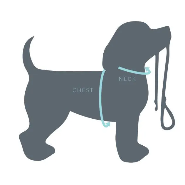 Pupstyle Blessed Dog Harness Extra Small***